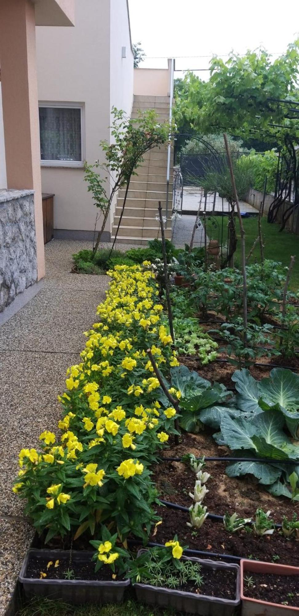 Apartmani Anita Malinska Exterior foto